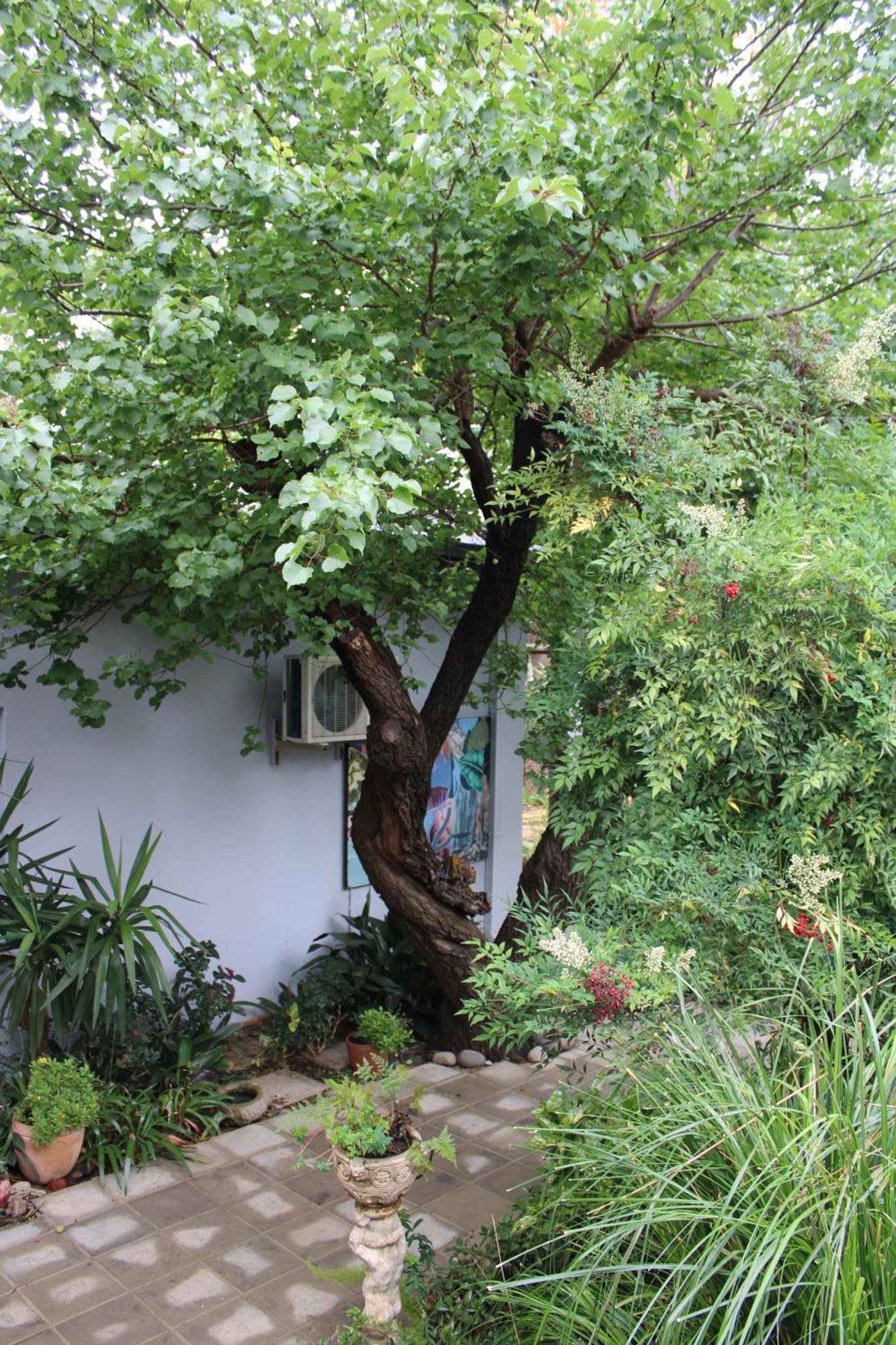 Jedidja Bed And Breakfast Bloemfontein Exterior photo