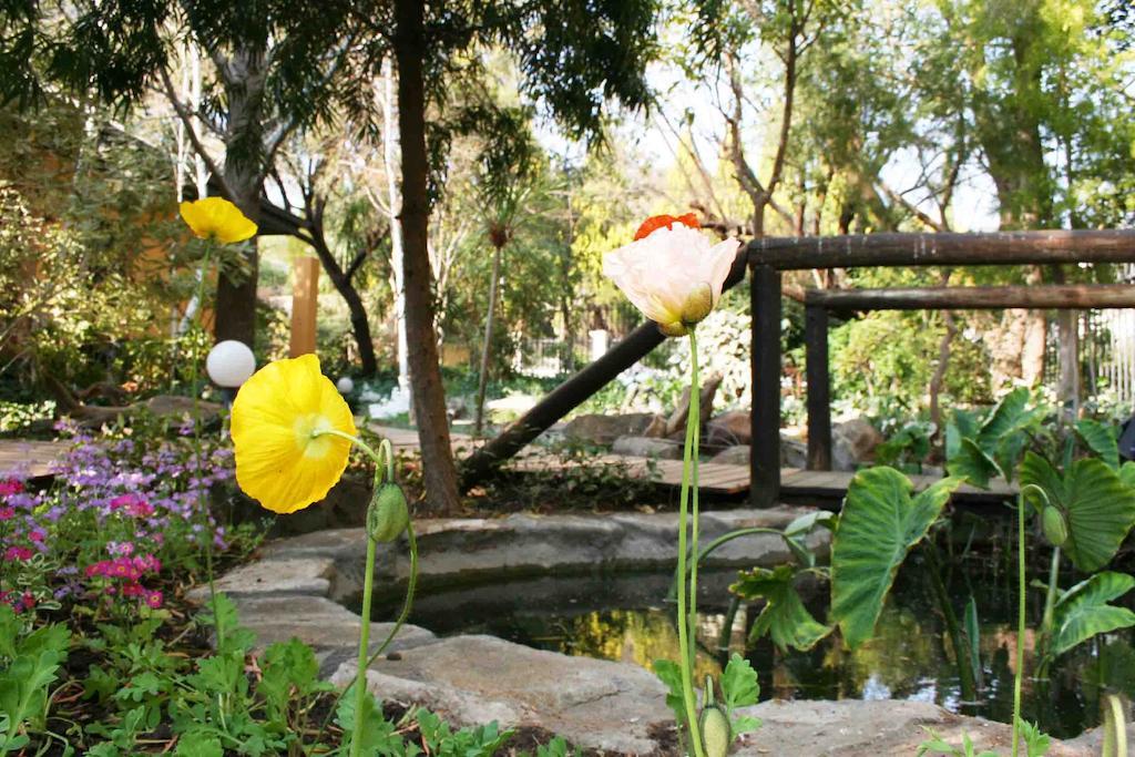 Jedidja Bed And Breakfast Bloemfontein Exterior photo