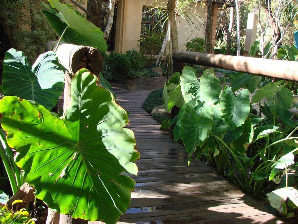 Jedidja Bed And Breakfast Bloemfontein Exterior photo